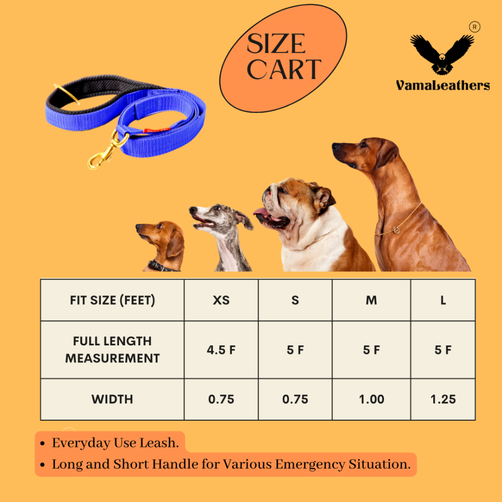 Vama Leathers Super Strong Soft Handle All Weather Leash for Dogs (Electric Blue)