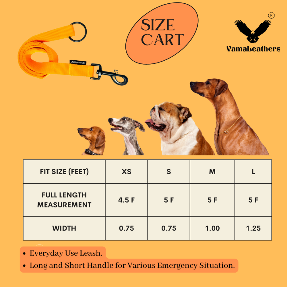 Vama Leathers Super Strong Soft Handle All Weather Leash for Dogs (Sunrise Orange)