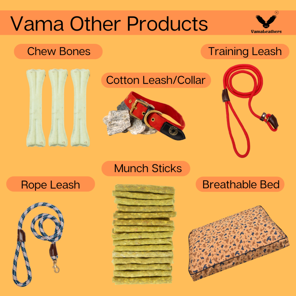 Vama Leathers Easy Fit Quick Wear Comfortable Body Harness for Dogs (Electric Blue)