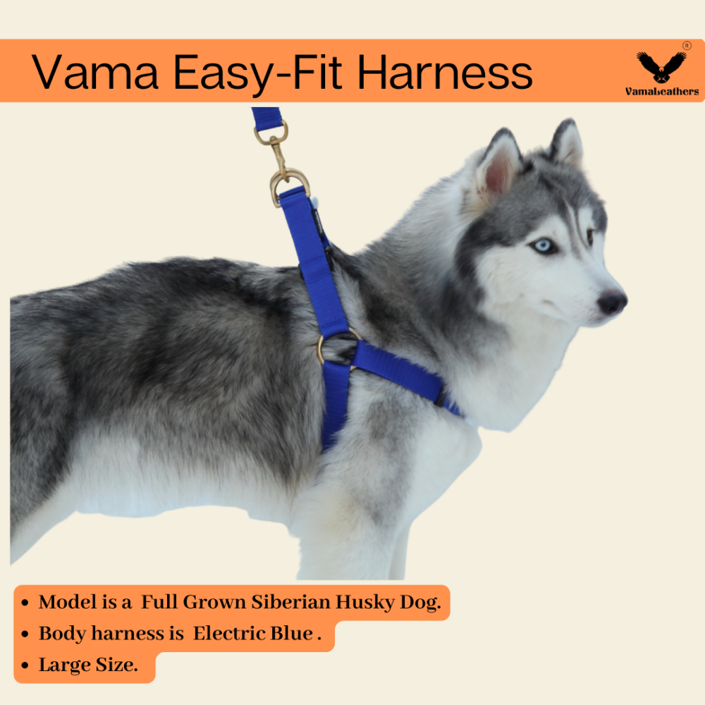 Vama Leathers Easy Fit Quick Wear Comfortable Body Harness for Dogs (Sunrise Orange)