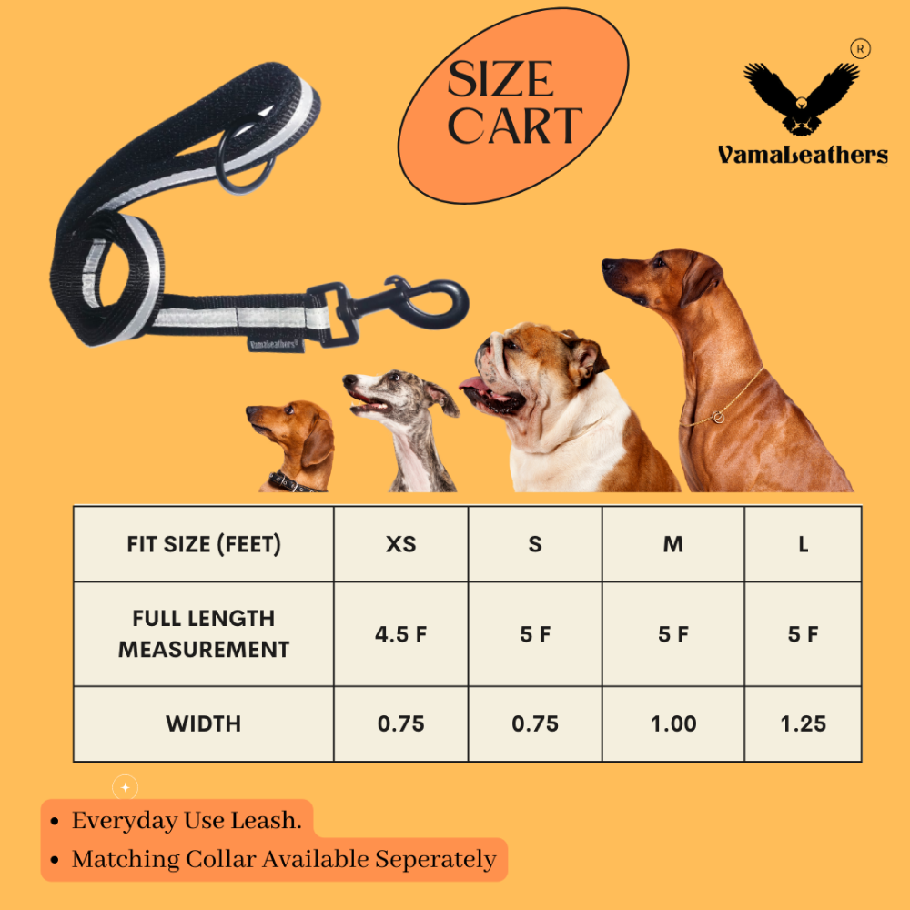 Vama Leathers Reflective Soft Handle All Weather Leash for Dogs (Shiny Black)