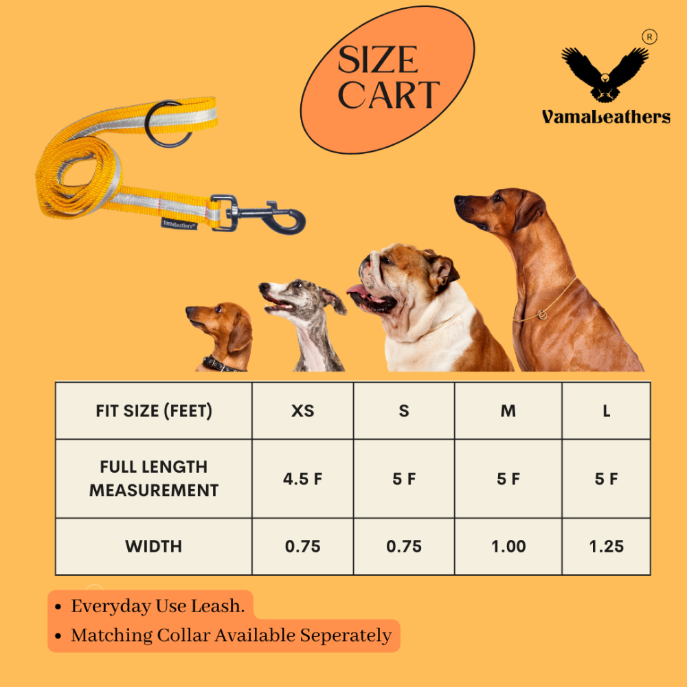 Vama Leathers Reflective Soft Handle All Weather Leash for Dogs (Sunrise Orange)