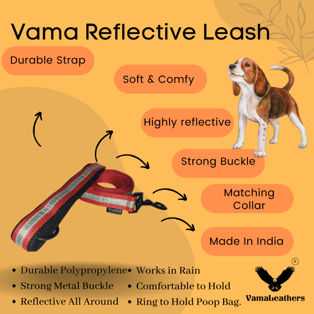 Vama Leathers Reflective Soft Handle All Weather Leash for Dogs (Scarlet Red)