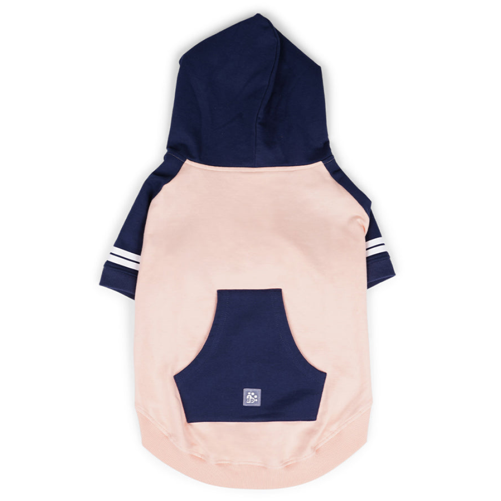 Dear Pet Stripes Sweatshirts for Dogs (Peach & Blue)
