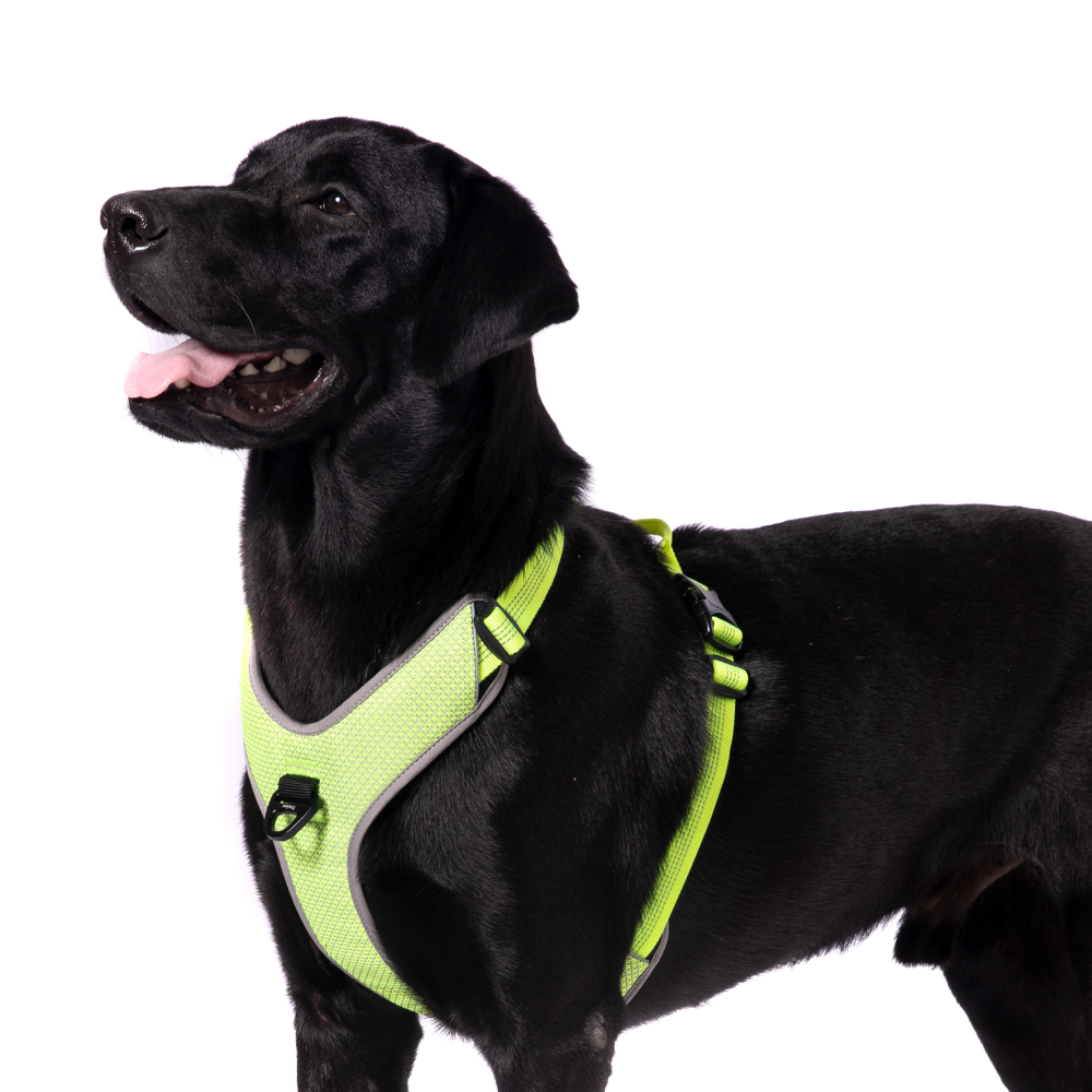 Truelove Harness with Reflective Fabric for Dogs (Neon Yellow)