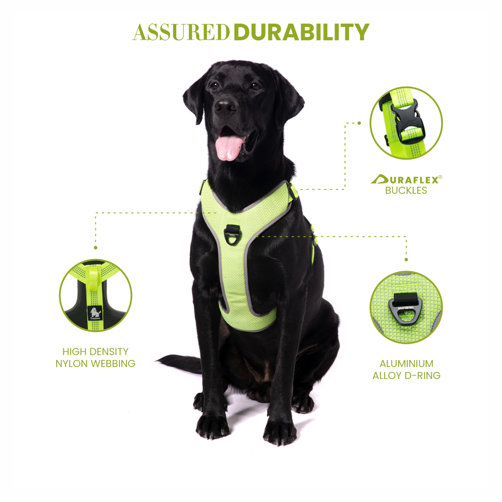 Truelove Harness with Reflective Fabric for Dogs (Neon Yellow)