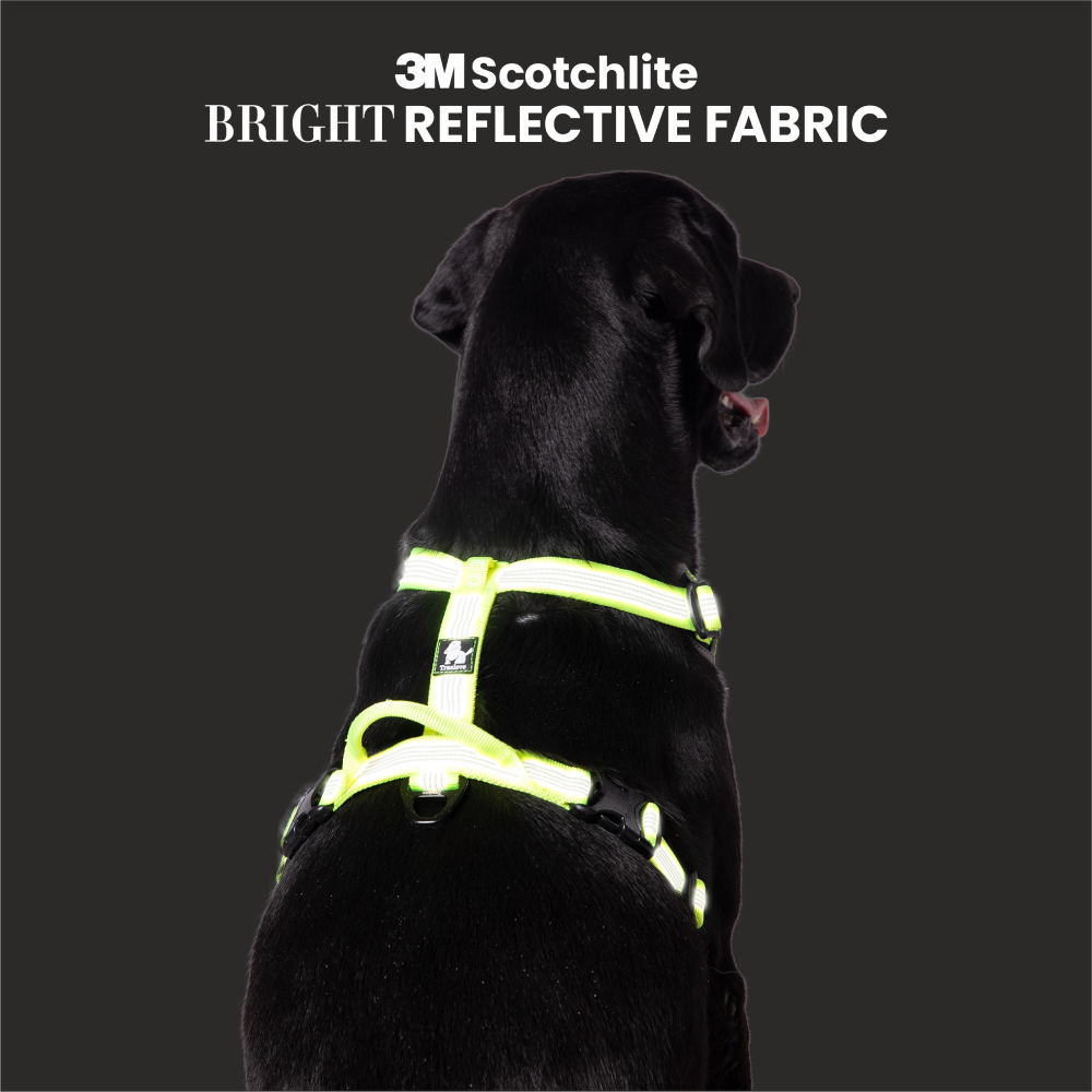 Truelove Harness with Reflective Fabric for Dogs (Neon Yellow)