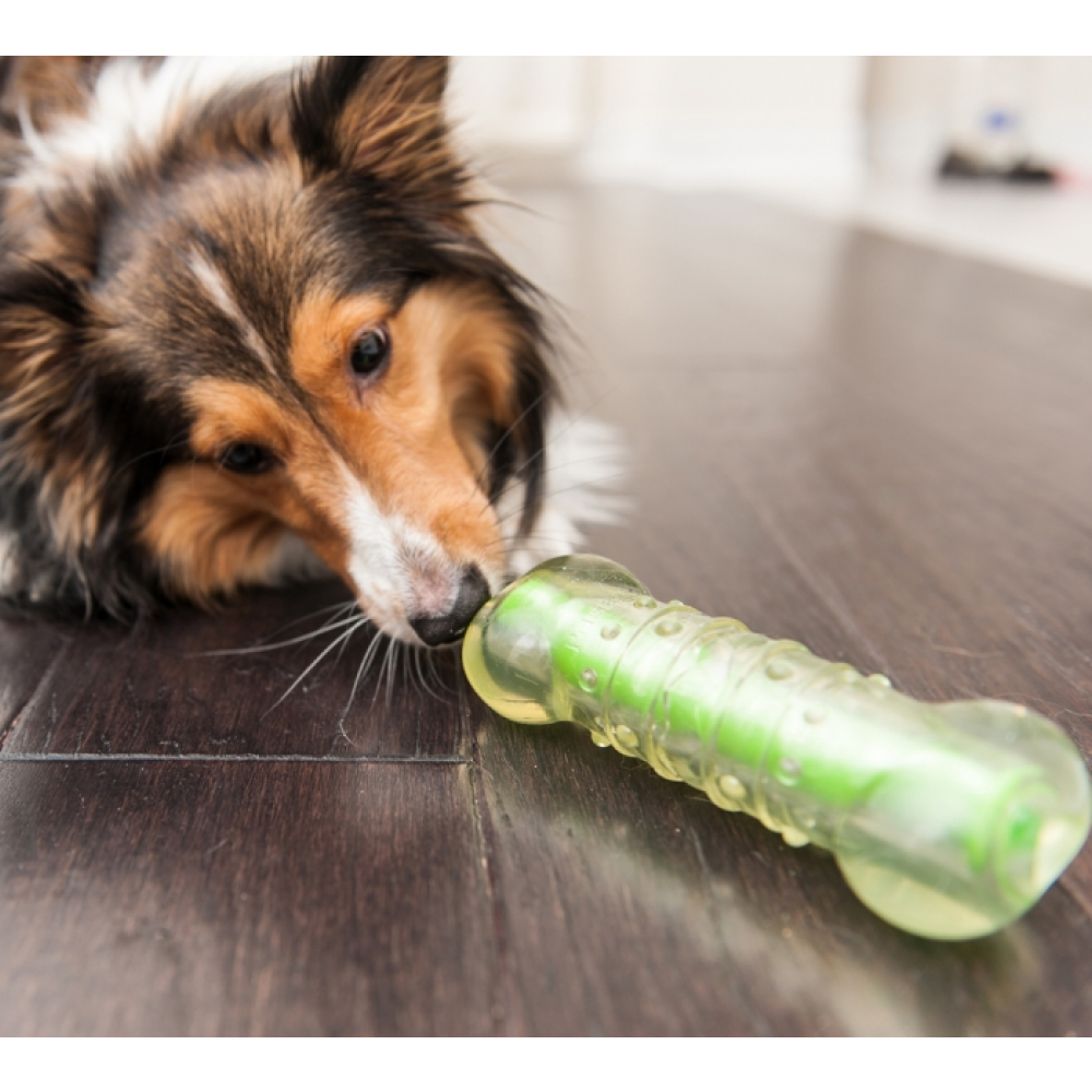Trixie Crunchcore Bone Toy for Dogs