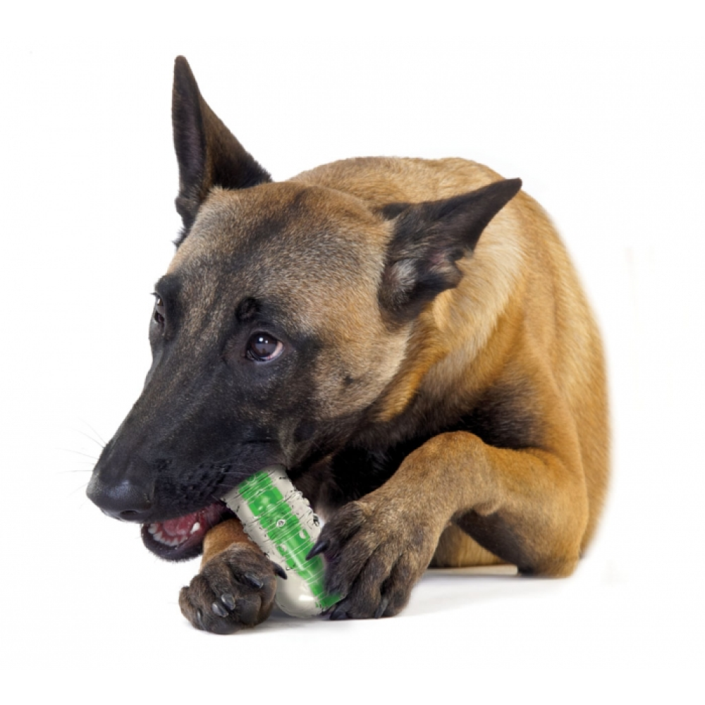 Trixie Crunchcore Bone Toy for Dogs