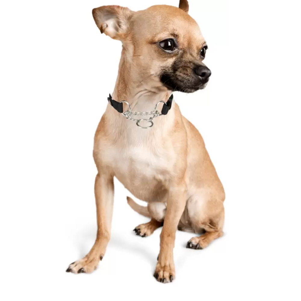Trixie Premium Choke Collar for Dogs (Jet Black)