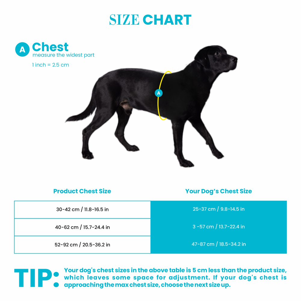 Truelove Step-in Harness with 3M for Dogs (Blue)