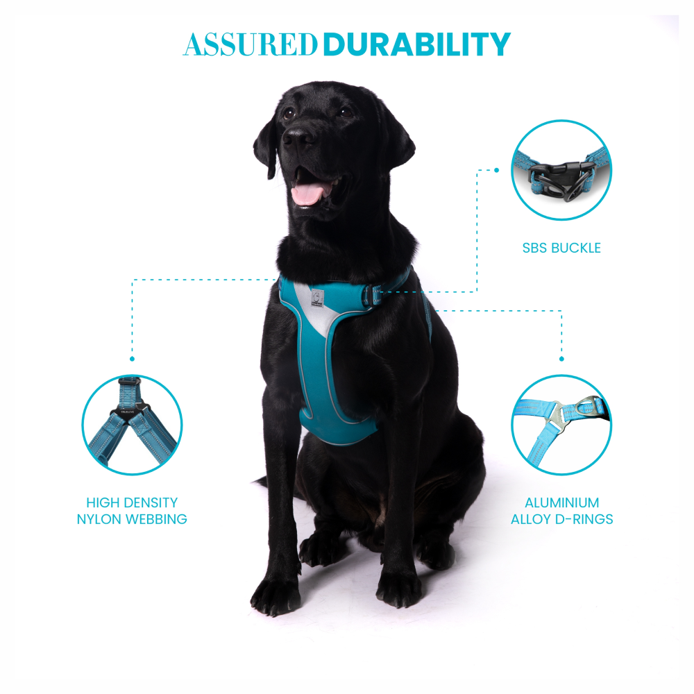 Truelove Step-in Harness with 3M for Dogs (Blue)