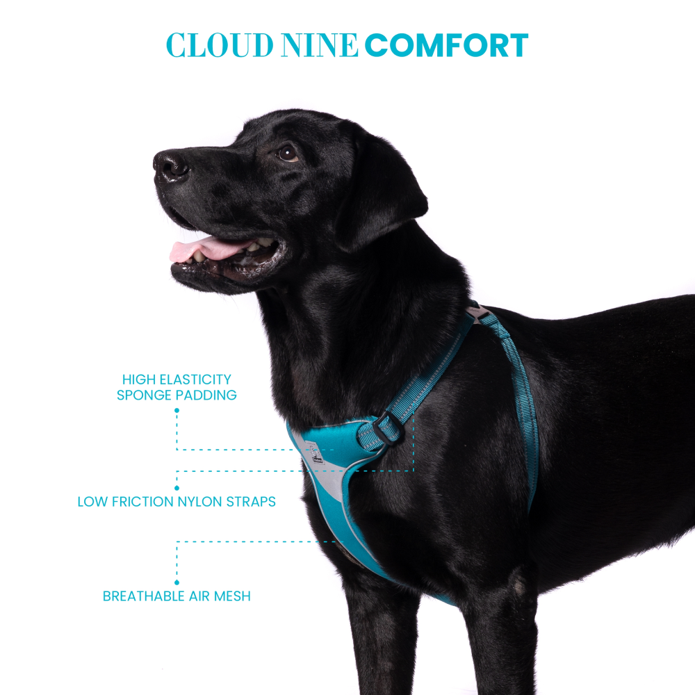 Truelove Step-in Harness with 3M for Dogs (Blue)