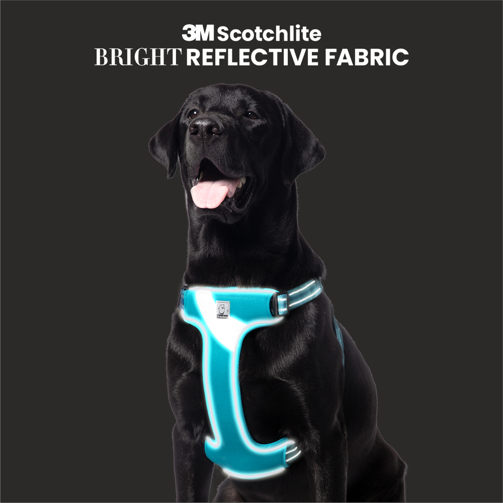 Truelove Step-in Harness with 3M for Dogs (Blue)