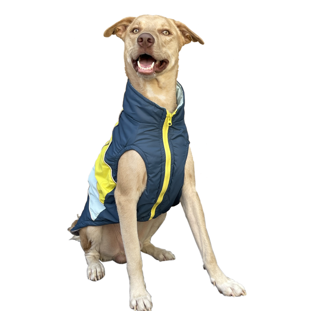 Pets Way Snug Puffer Winterberry Jacket for Dogs (Airforce)