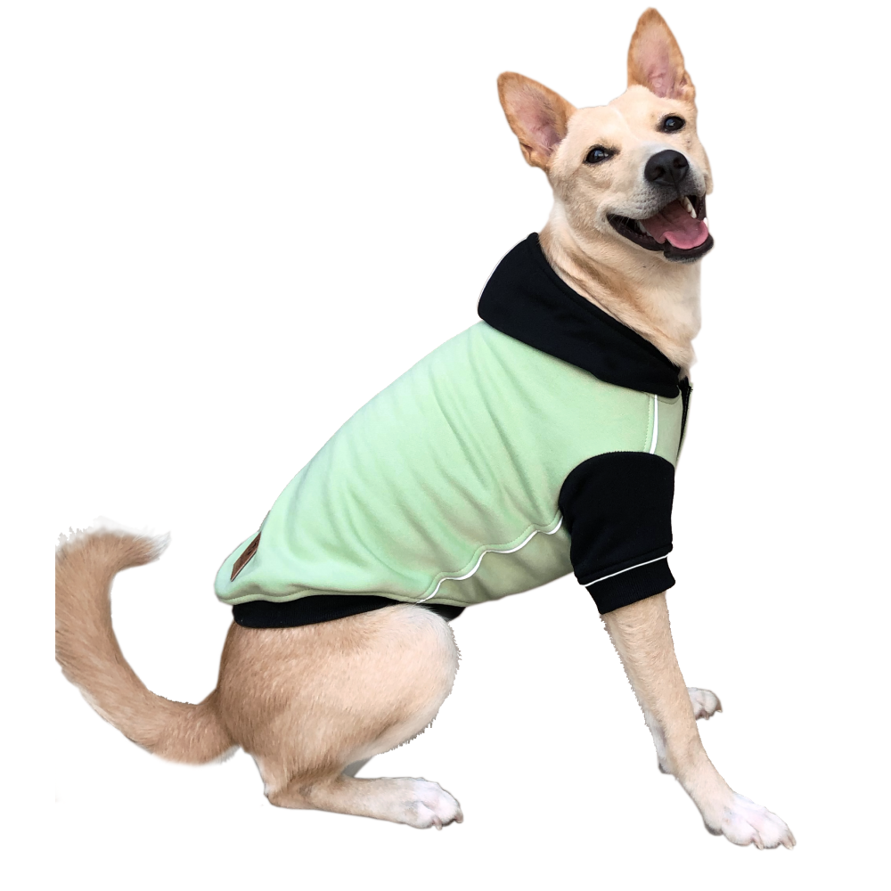 Pets Way Snowflake Sweatshirt for Dogs (Sage)