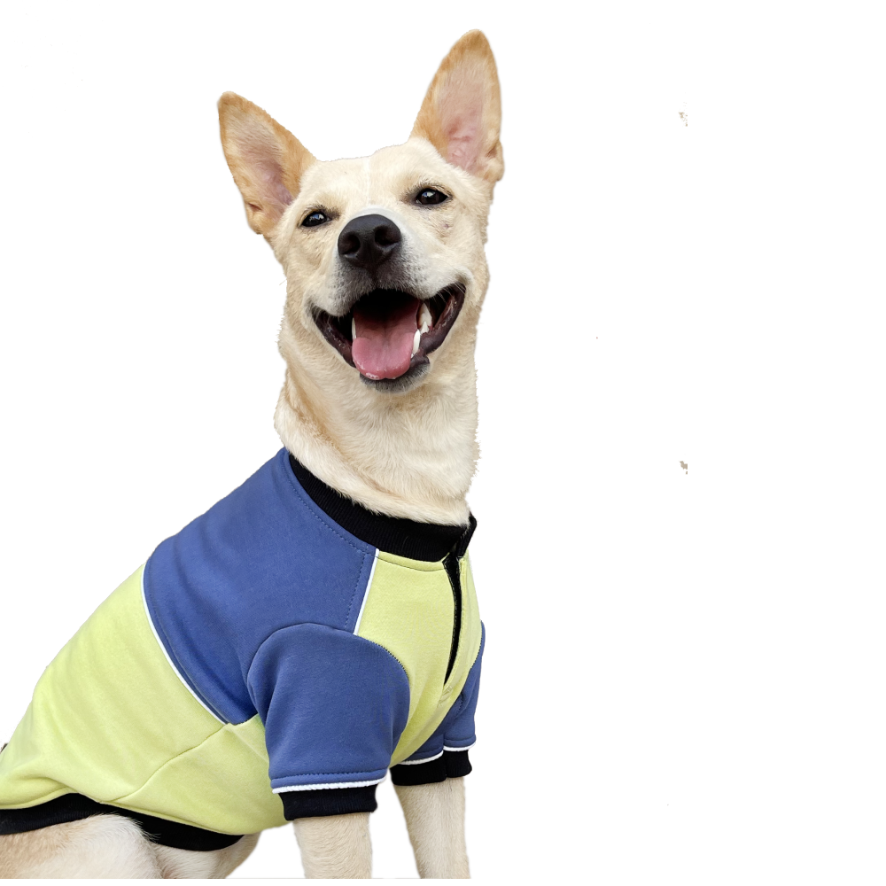 Pets Way Ice Fall Sweatshirt for Dogs (Lime)