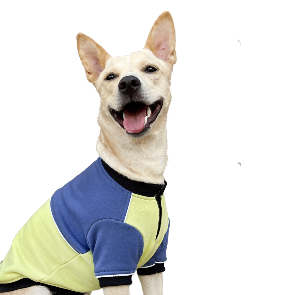 Pets Way Ice Fall Sweatshirt for Dogs (Lime)