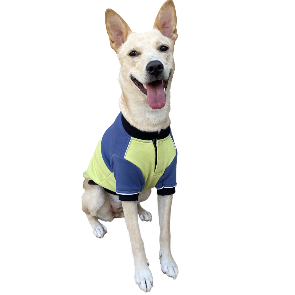 Pets Way Ice Fall Sweatshirt for Dogs (Lime)