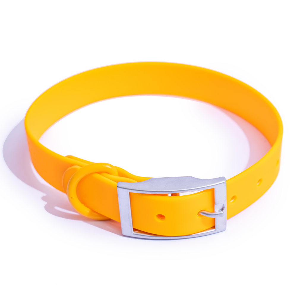 Furry & Co Mango Bold Collar for Dogs