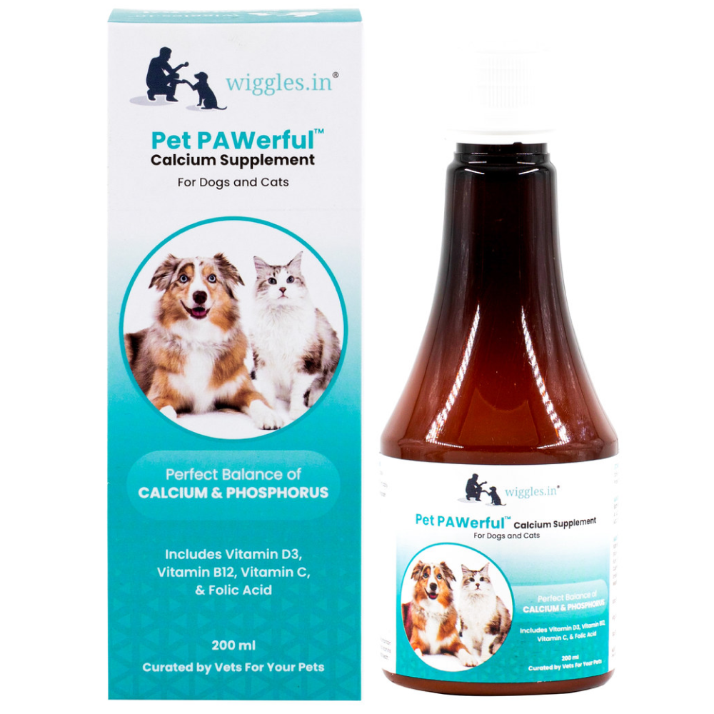 Wiggles Pet PAWerful Calcium Phosphorus Syrup Supplement for Pets