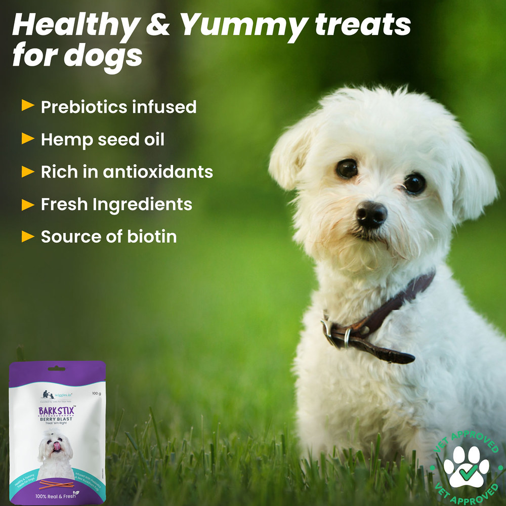 Wiggles Barkstix Berry Blast Dog Treats