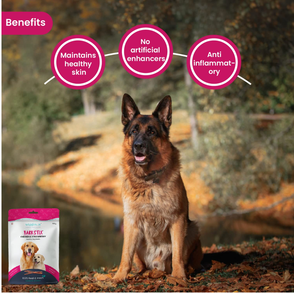 Wiggles Barkstix Chicken and Strawberry Dog Treats