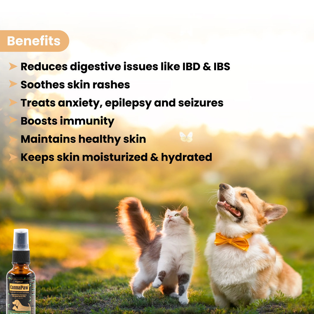 Wiggles CannaPaw Hemp Oil Extract Relief Spray for Pets