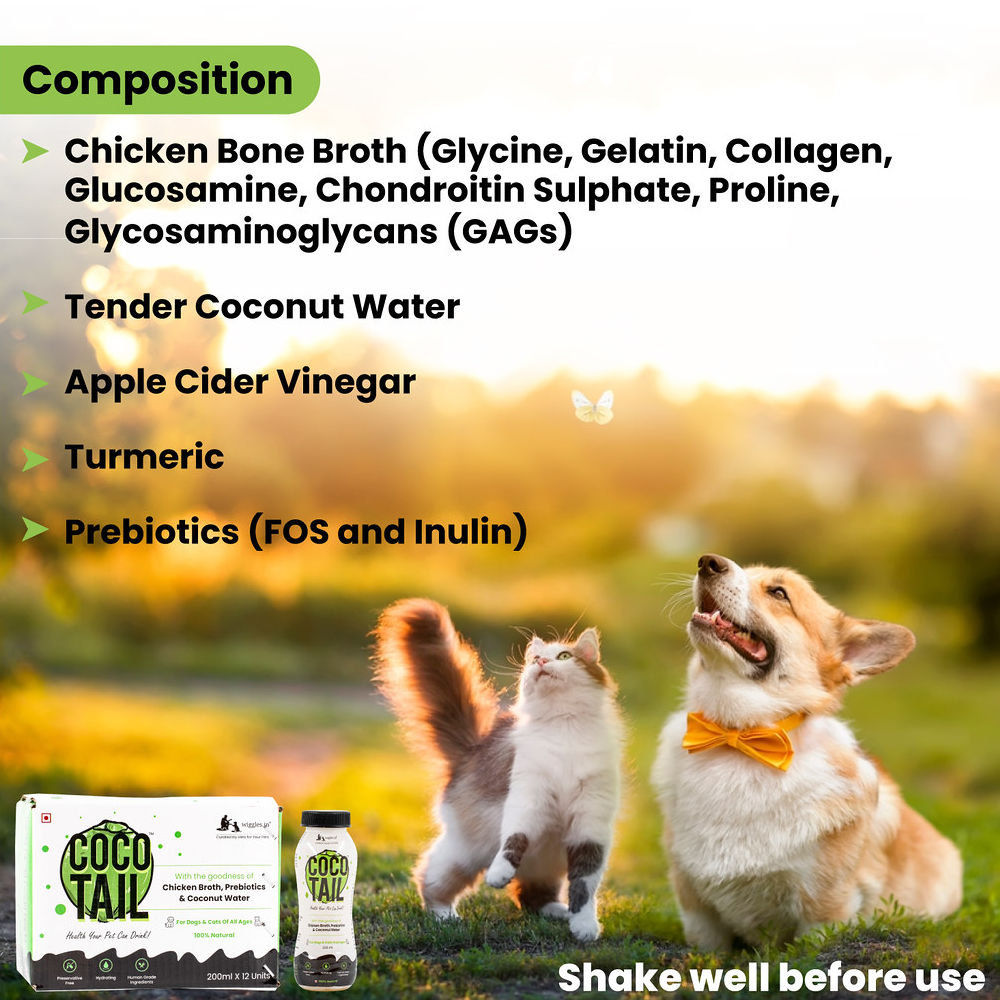 Wiggles Cocotail Healthy Energy Drink for Pets