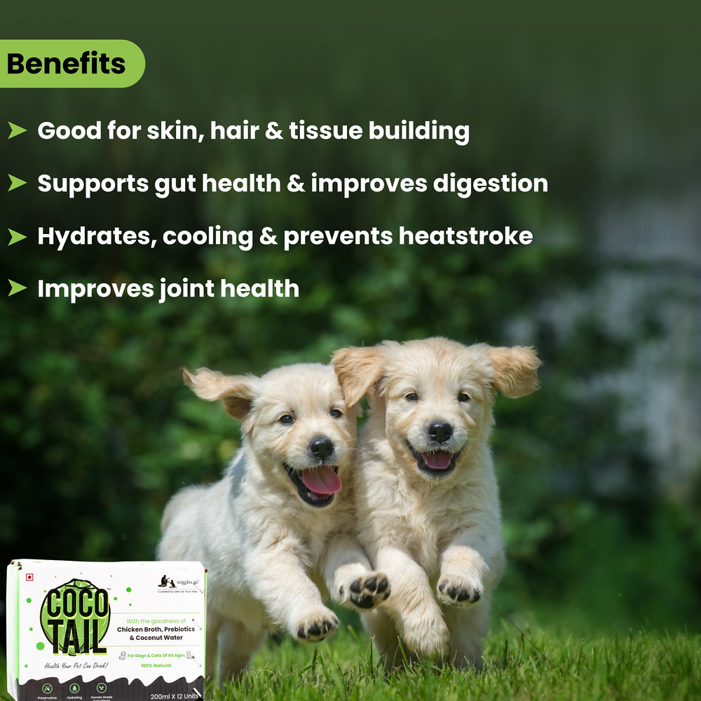 Wiggles Cocotail Healthy Energy Drink for Pets