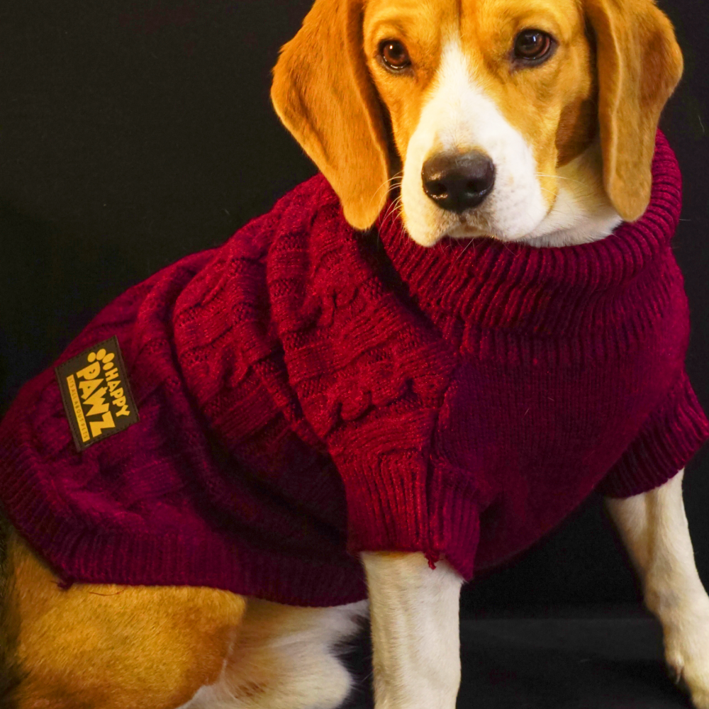 Happy Pawz Cherry Classic Cable Knit Sweater for Pets