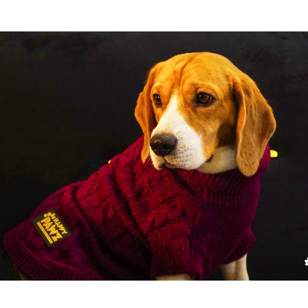 Happy Pawz Cherry Classic Cable Knit Sweater for Pets