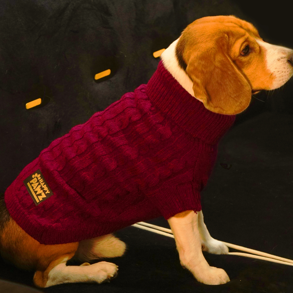 Happy Pawz Cherry Classic Cable Knit Sweater for Pets