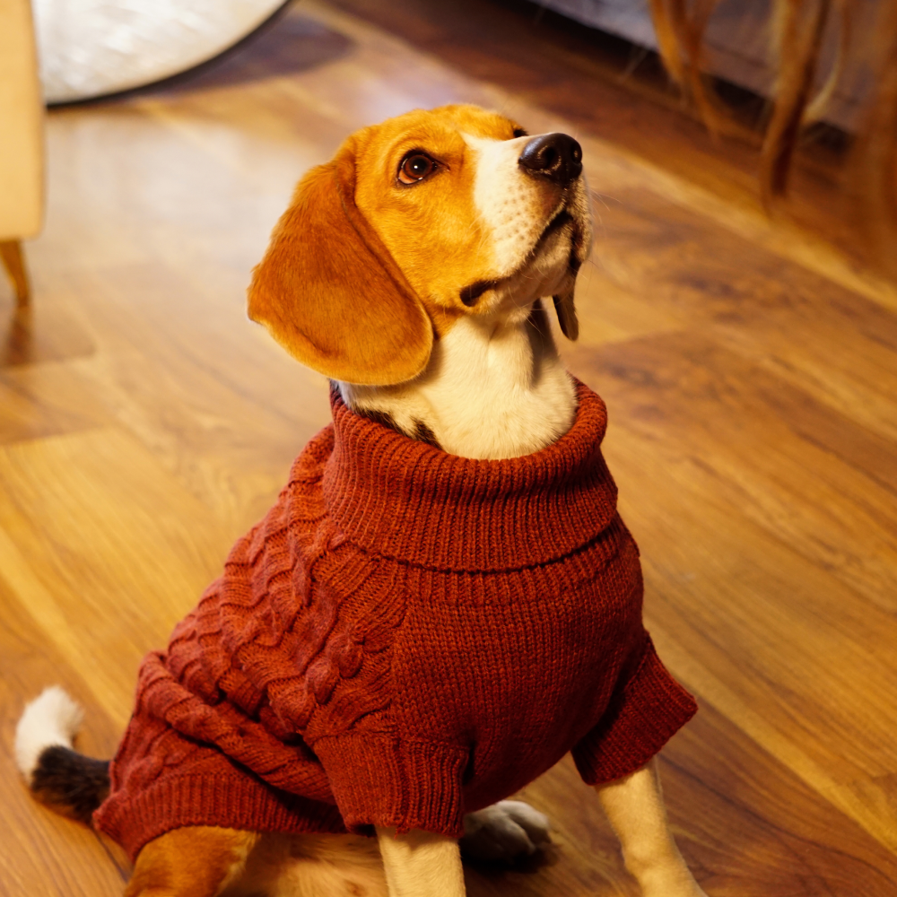 Happy Pawz Chestnut Classic Cable Knit Sweater for Pets