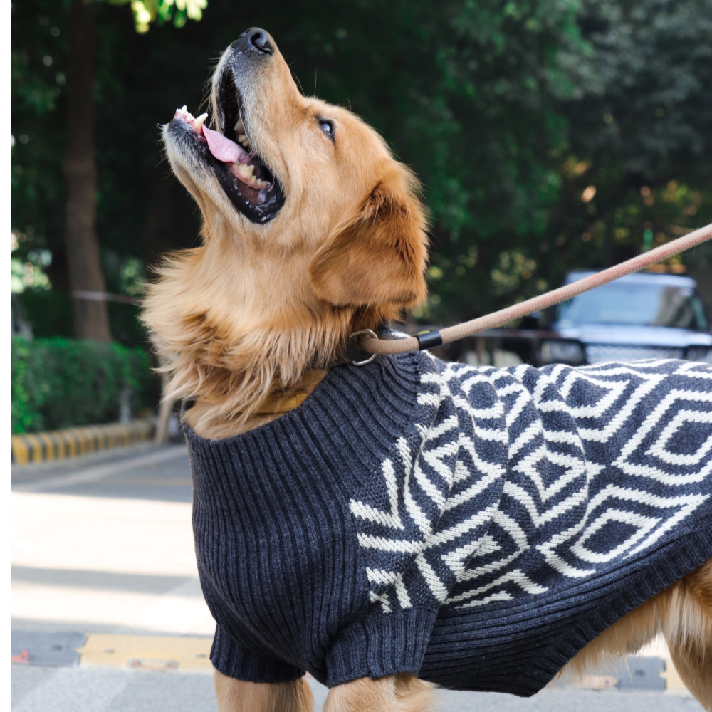 Happy Pawz Rhombus Sweater for Pets