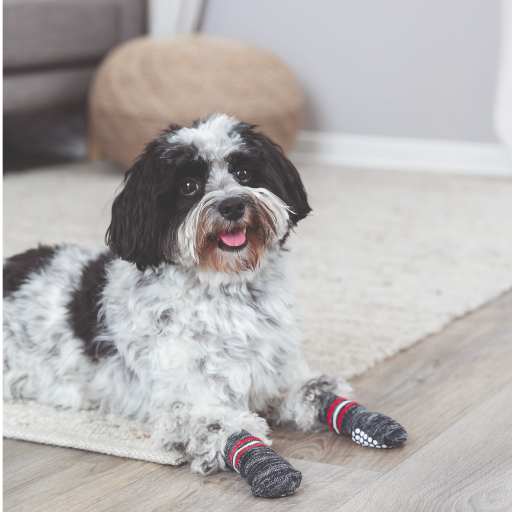 Trixie Non-Slip Socks for Dogs