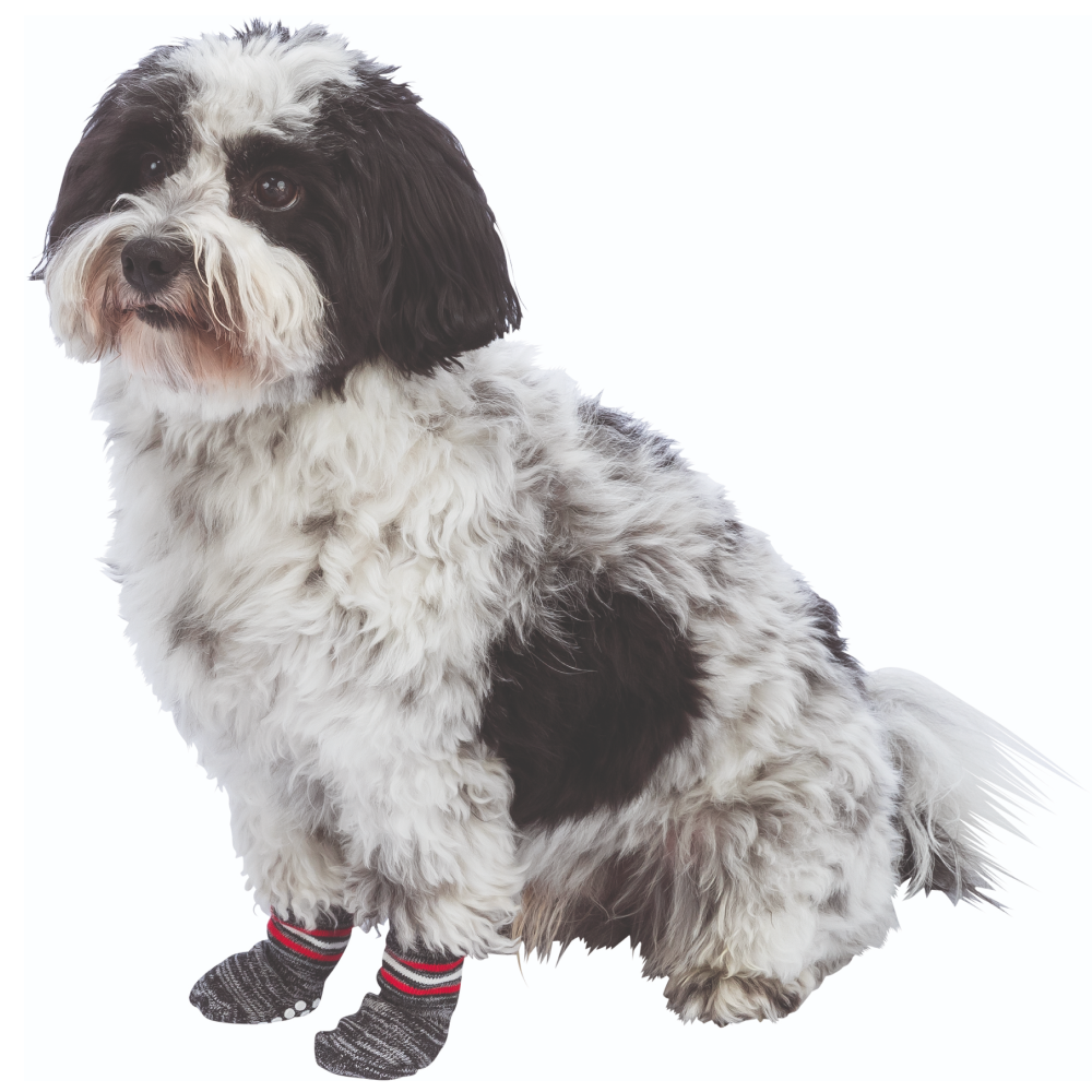 Trixie Non-Slip Socks for Dogs