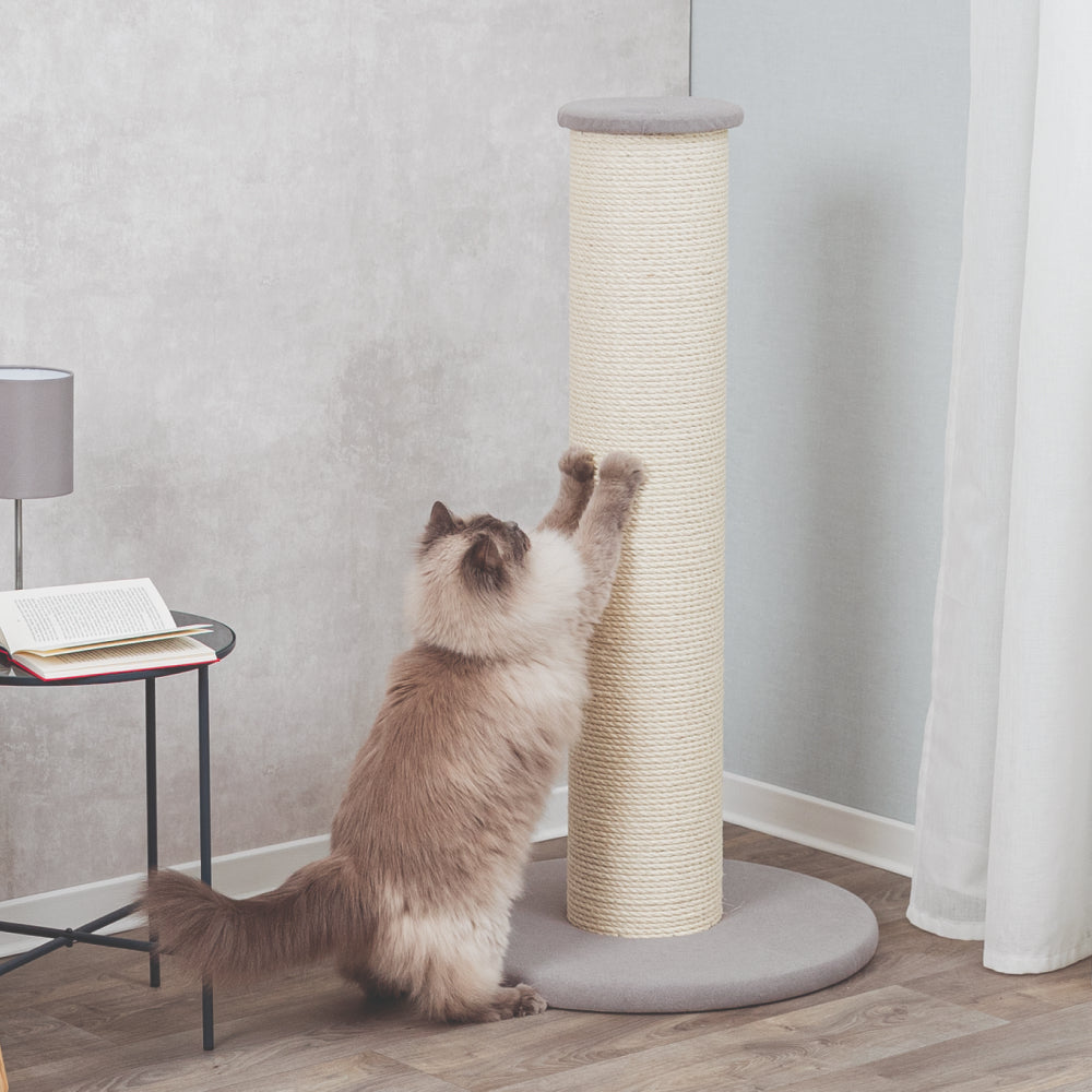 Trixie Scratching Post for Cats (Taupe)