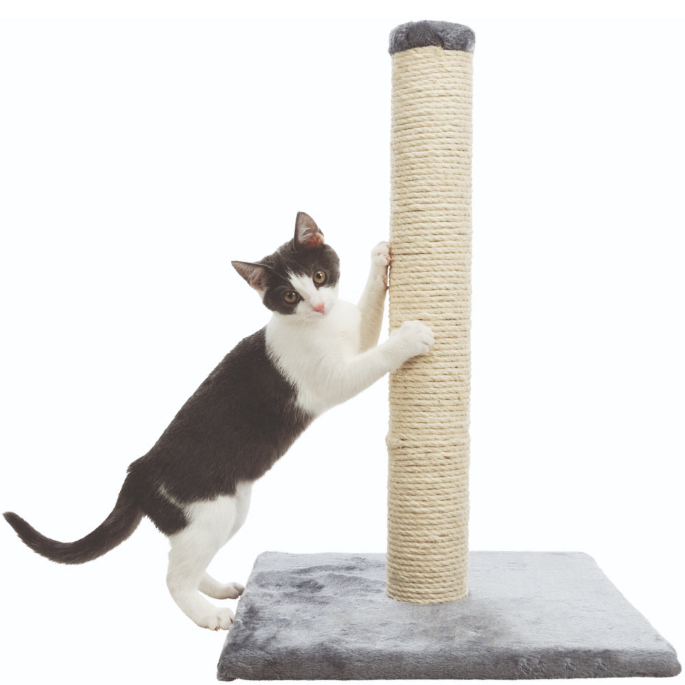 Trixie Parla Scratching Post for Cats (Grey)