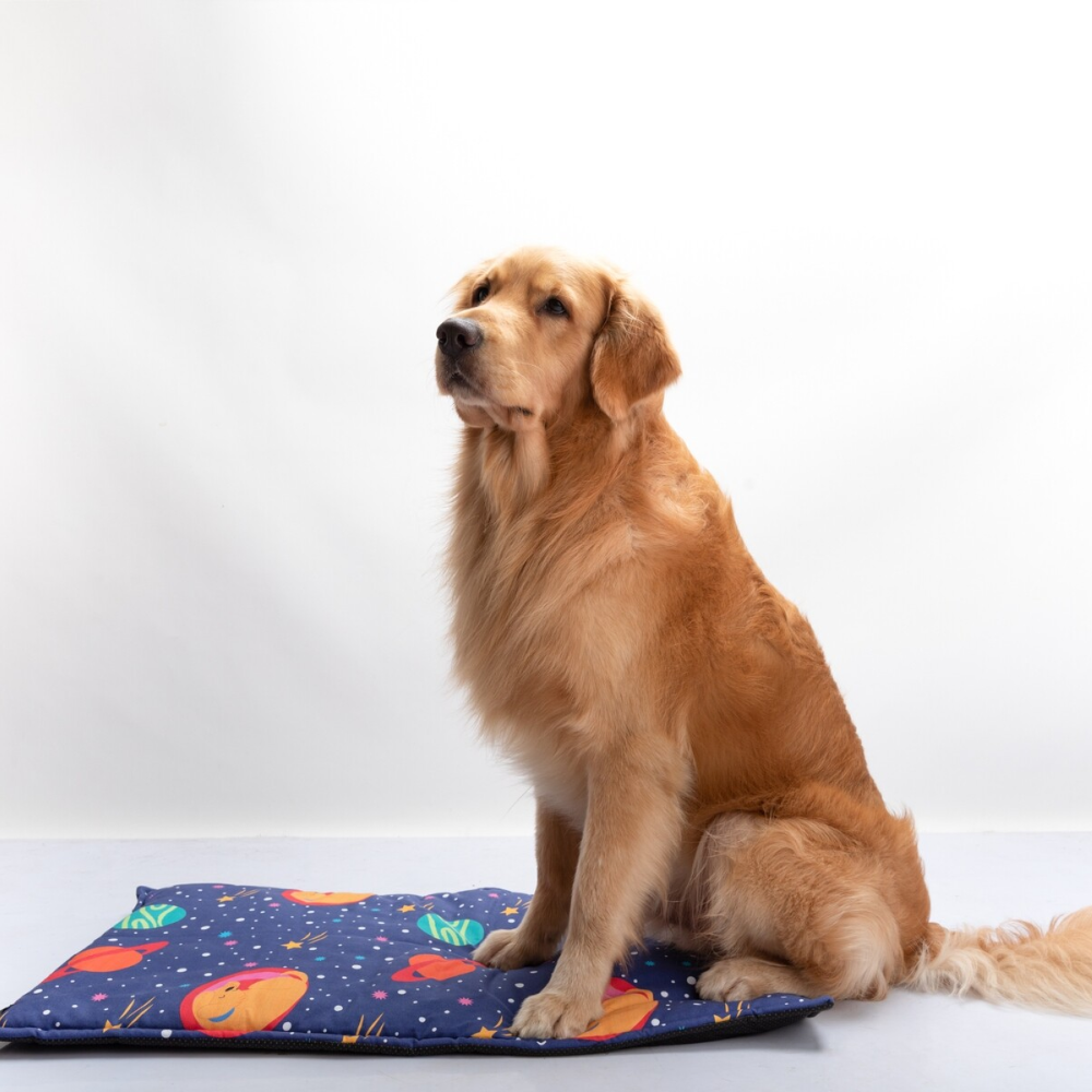FurBuddies Space Mat for Pets
