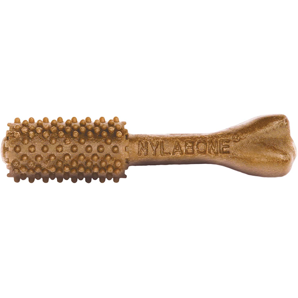 Nylabone Filet Mignon Nutri Dent Dental Treats for Small Breed Dogs