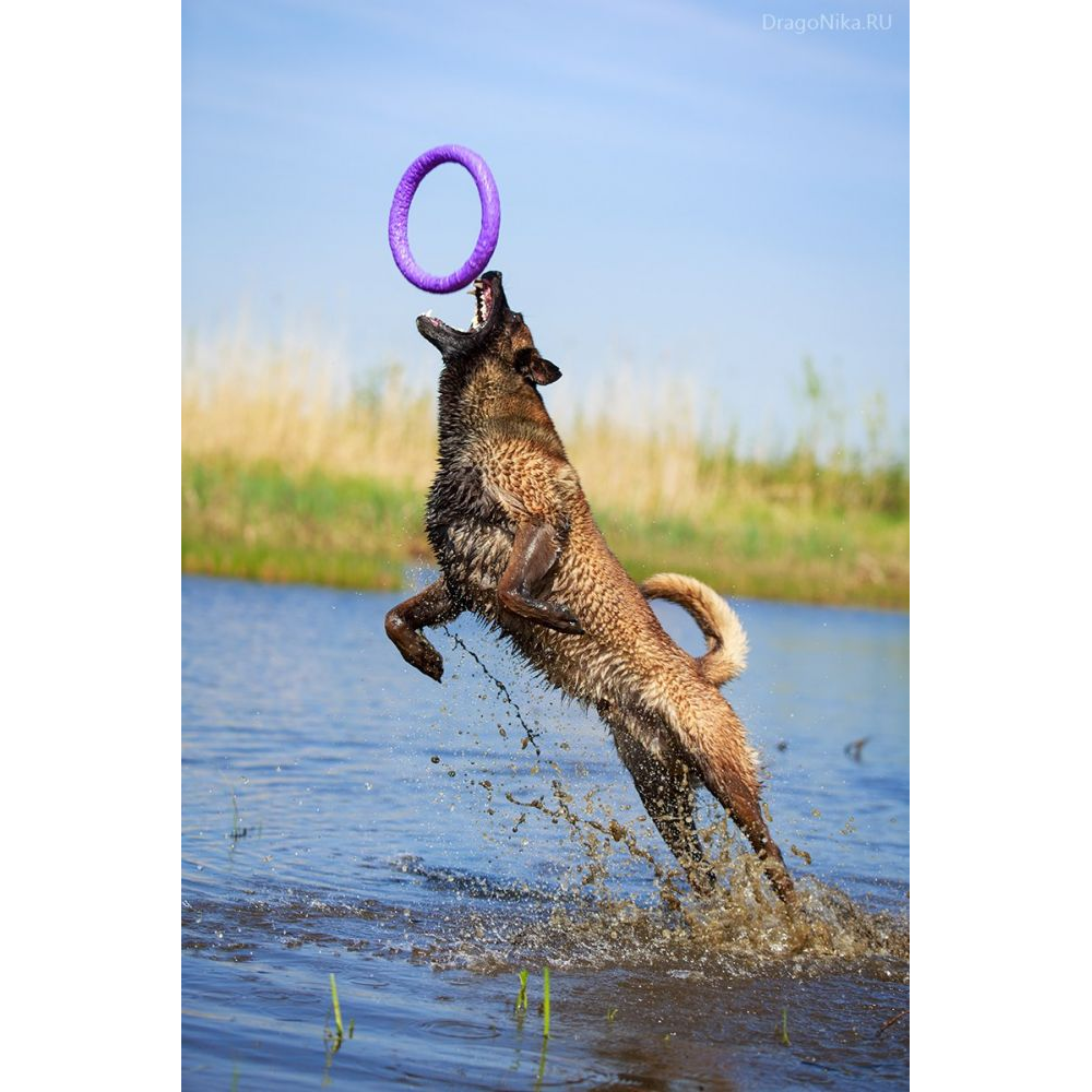Glenand Training Device Puller Toy for Dogs (Large Breed)