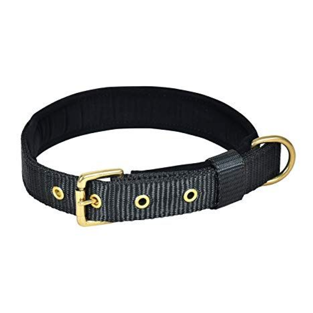 Glenand Petz Pure Nylon Padded Collar for Dogs (1 inches)