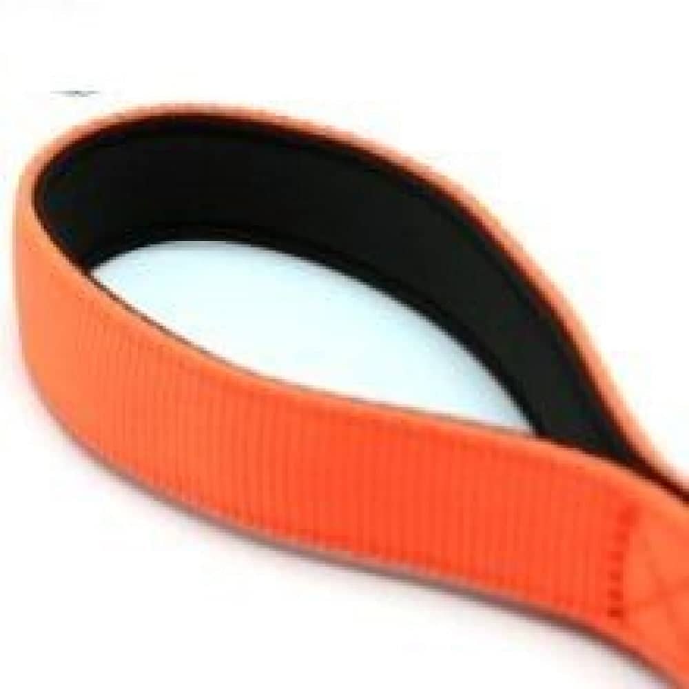 Glenand Petz Pure Nylon Padded Leash for Dogs (Orange)