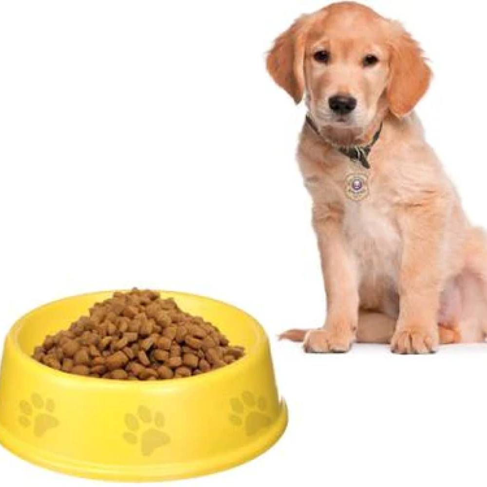 Emily Pets Single Round food bowls for pets (Yellow)