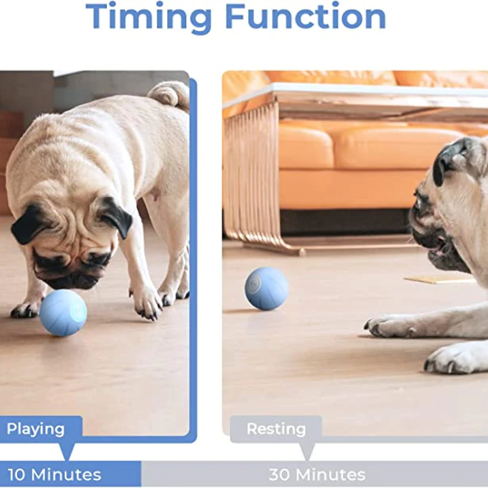 Cheerble Wicked Ball SE for Dogs