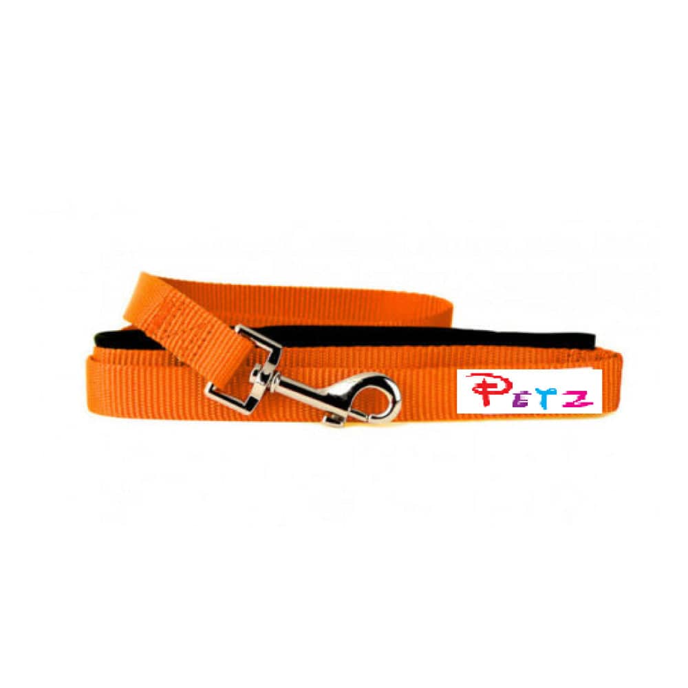 Glenand Petz Pure Nylon Padded Leash for Dogs (Orange)