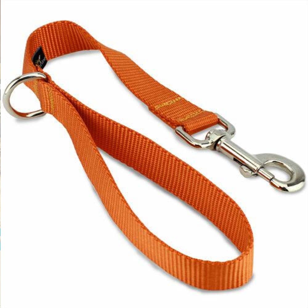 Glenand Petz Pure Nylon Padded Leash for Dogs (Orange)