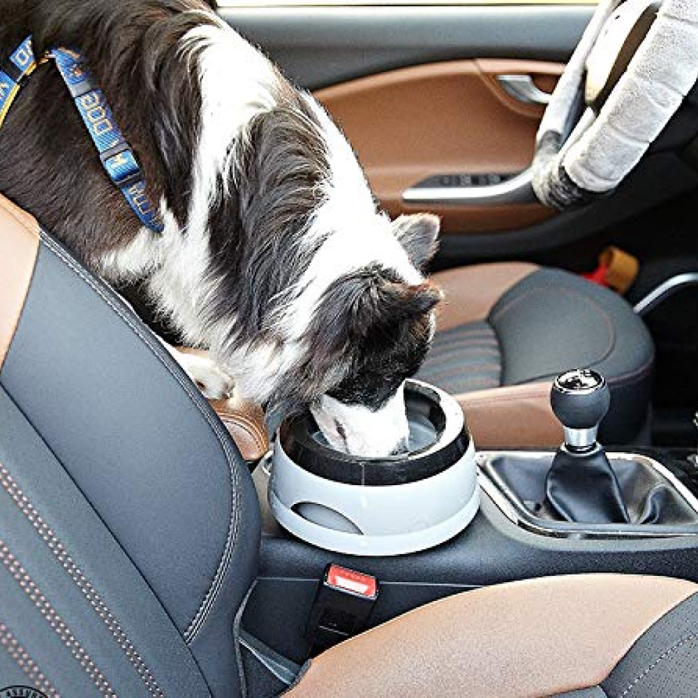 Pets Empire Anti Splash Bowl for Pets