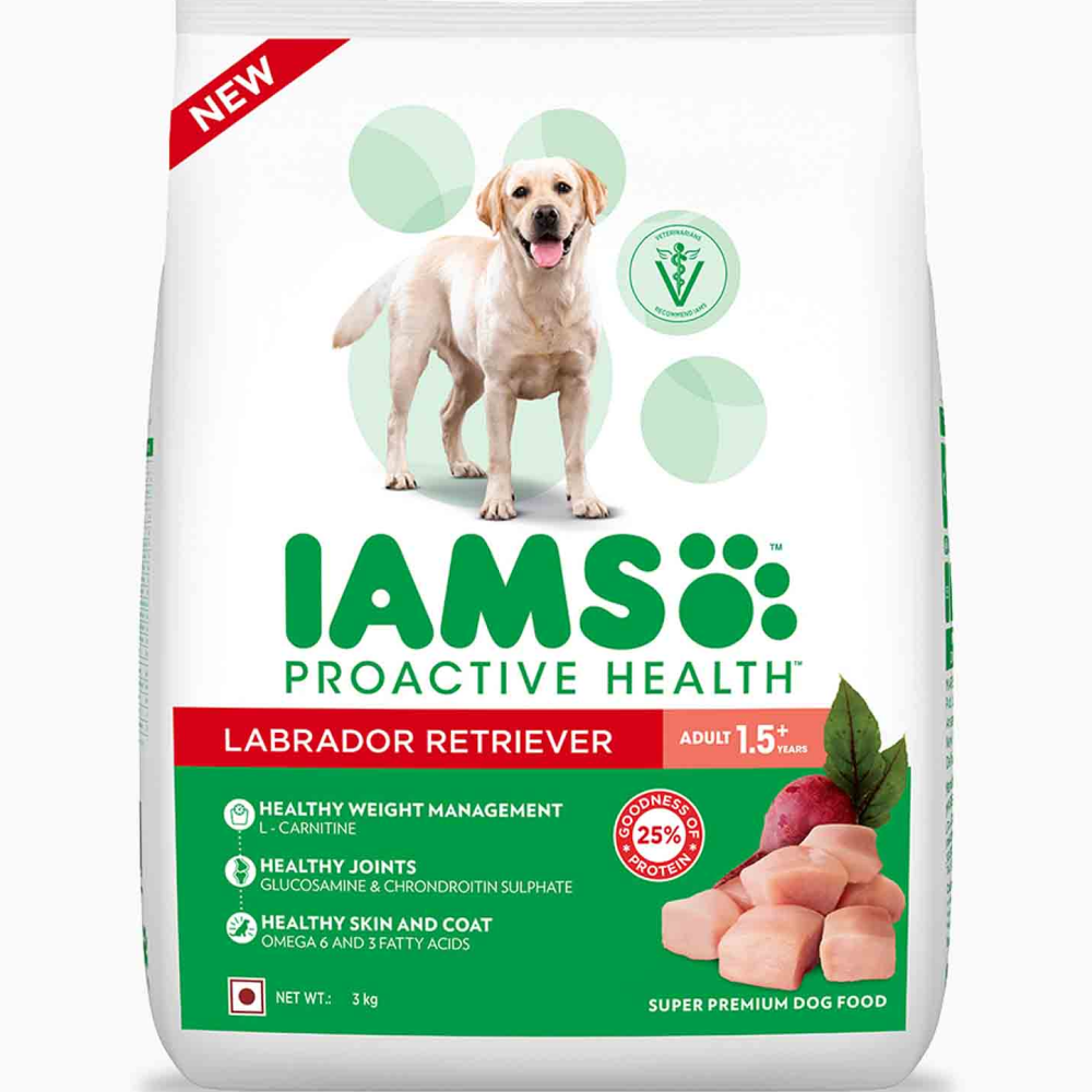 IAMS Proactive Health Adult Labrador Retriever Premium Dry Dog Food with Container
